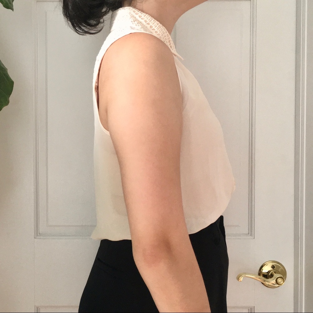 Blush Lace Sleeveless Blouse - Picture 3 of 9